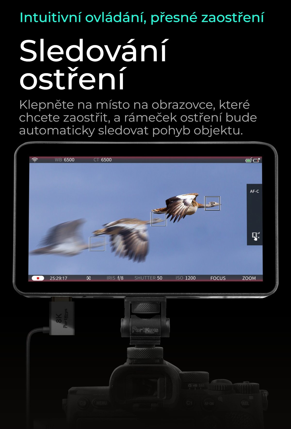 Portkeys LH7P