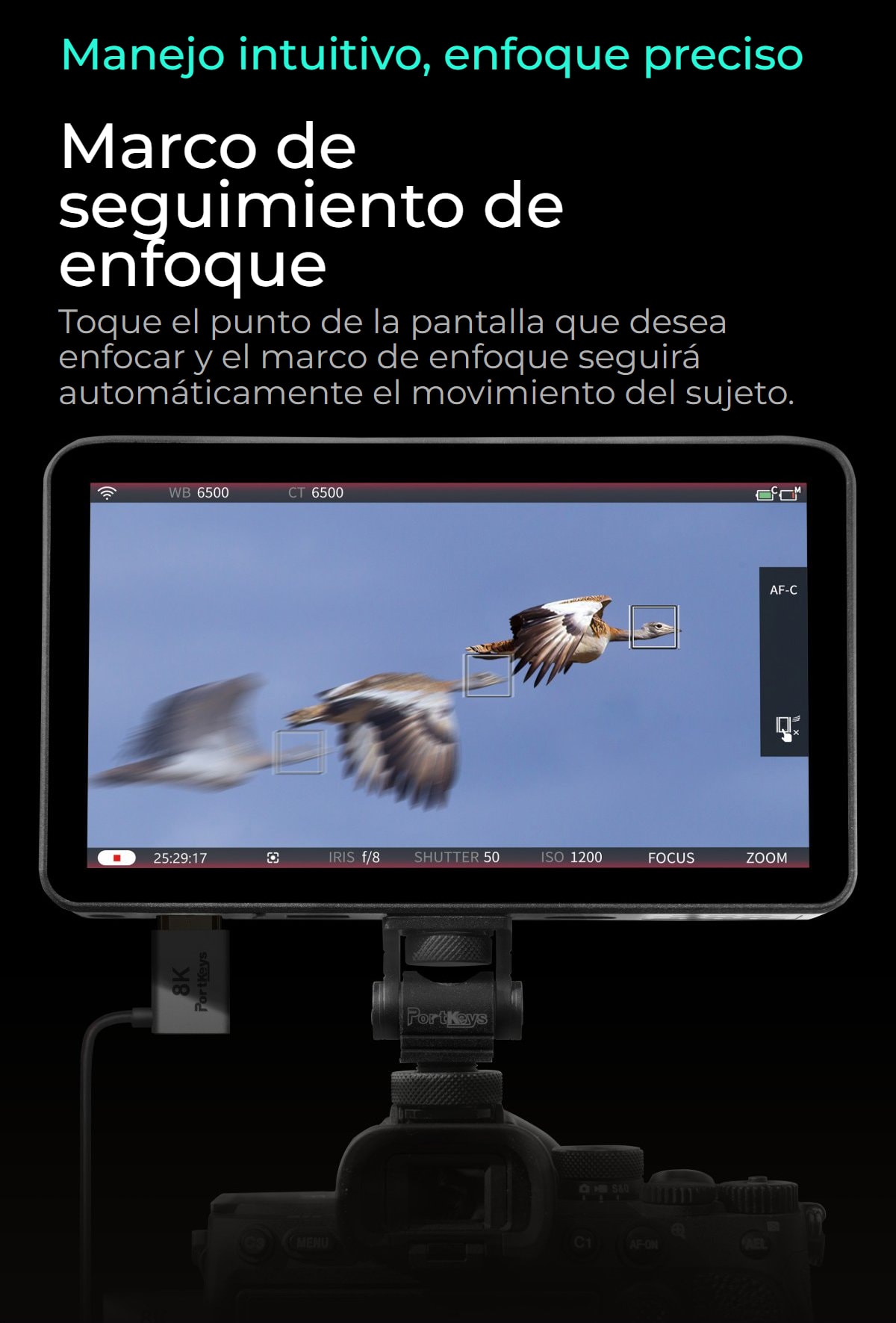 Portkeys LH7P