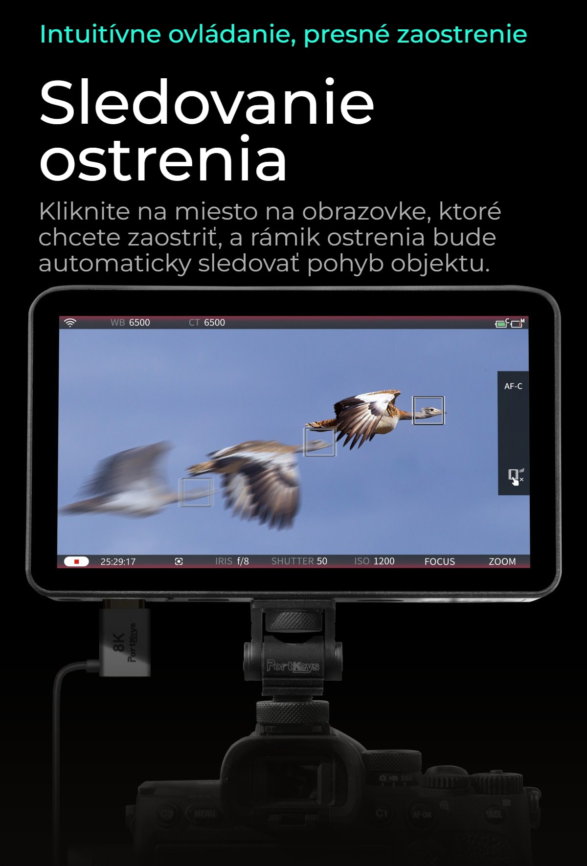 Portkeys LH7P
