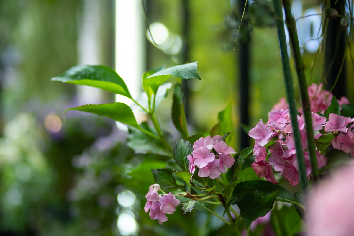 MK-85MM F1.8 AF E