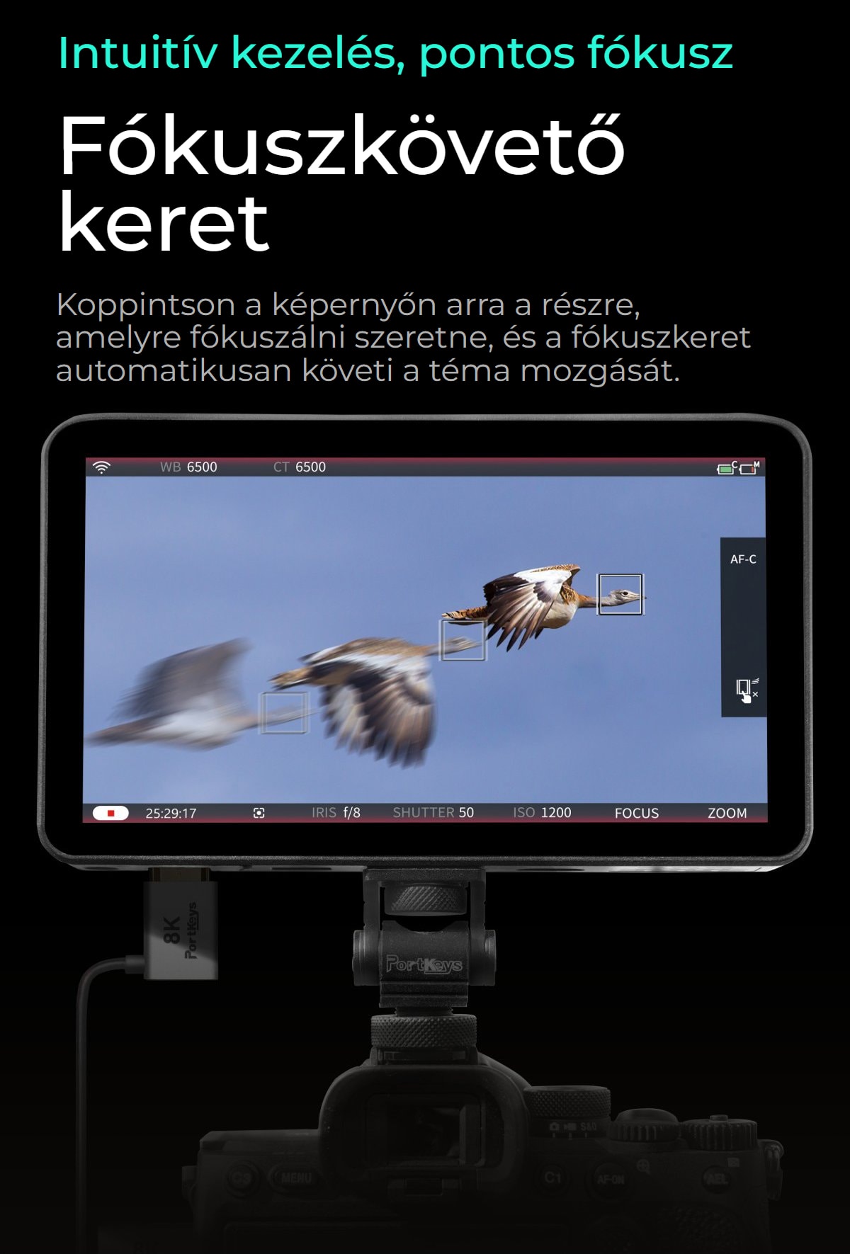 Portkeys LH7P