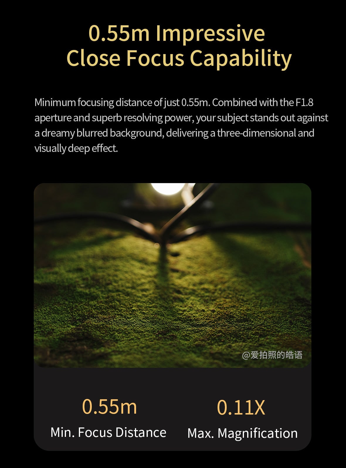 MK-5518FFSTM-L
