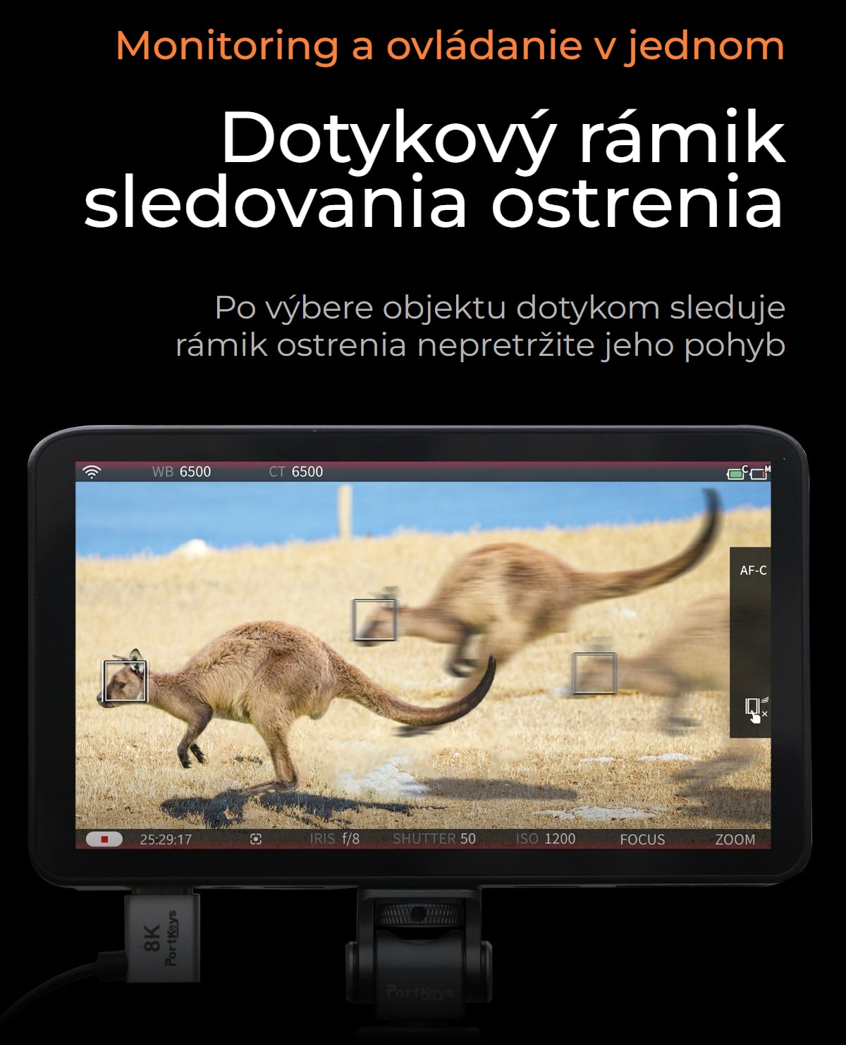 Portkeys LS7P