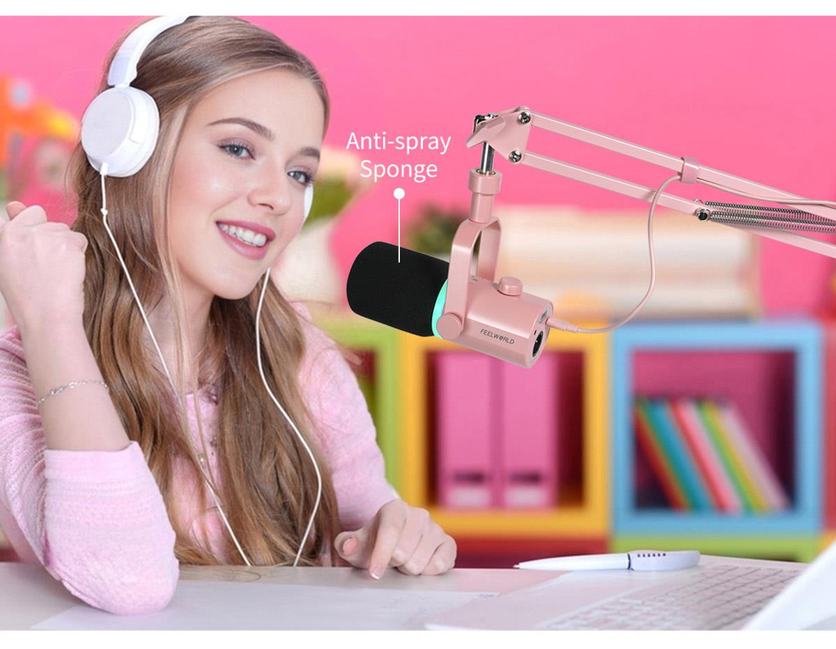 record dynamic mic