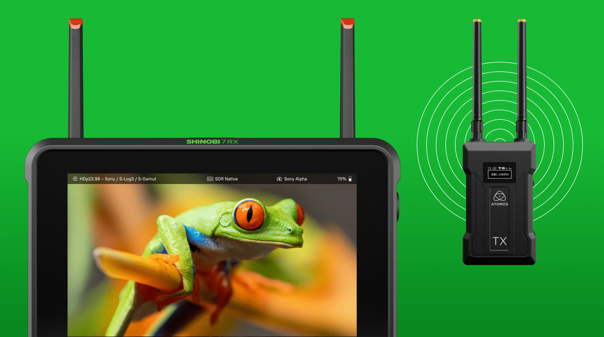 Atomos Shinobi 7 RX a bezdrátový vysílač Atomos TX