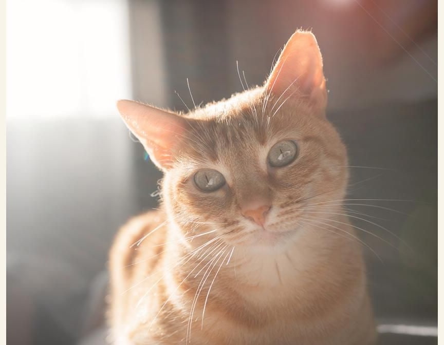 Třpytky kolem světel